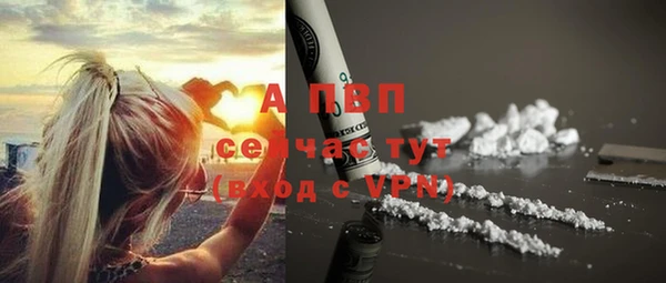 винт Алзамай