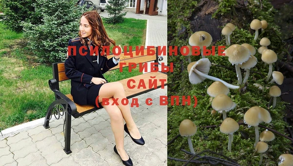 винт Алзамай