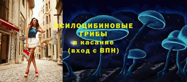 мдпв Заводоуковск