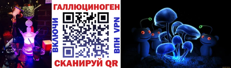 продажа наркотиков  Солигалич  Галлюциногенные грибы мицелий 